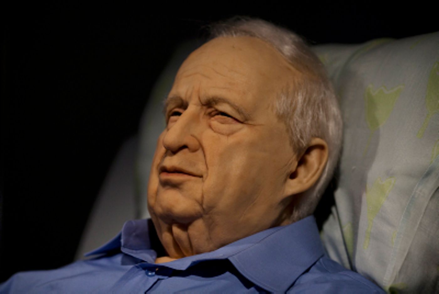 תערוכה חדשה מציעה: בואו לראות את אריאל שרון בתרדמת