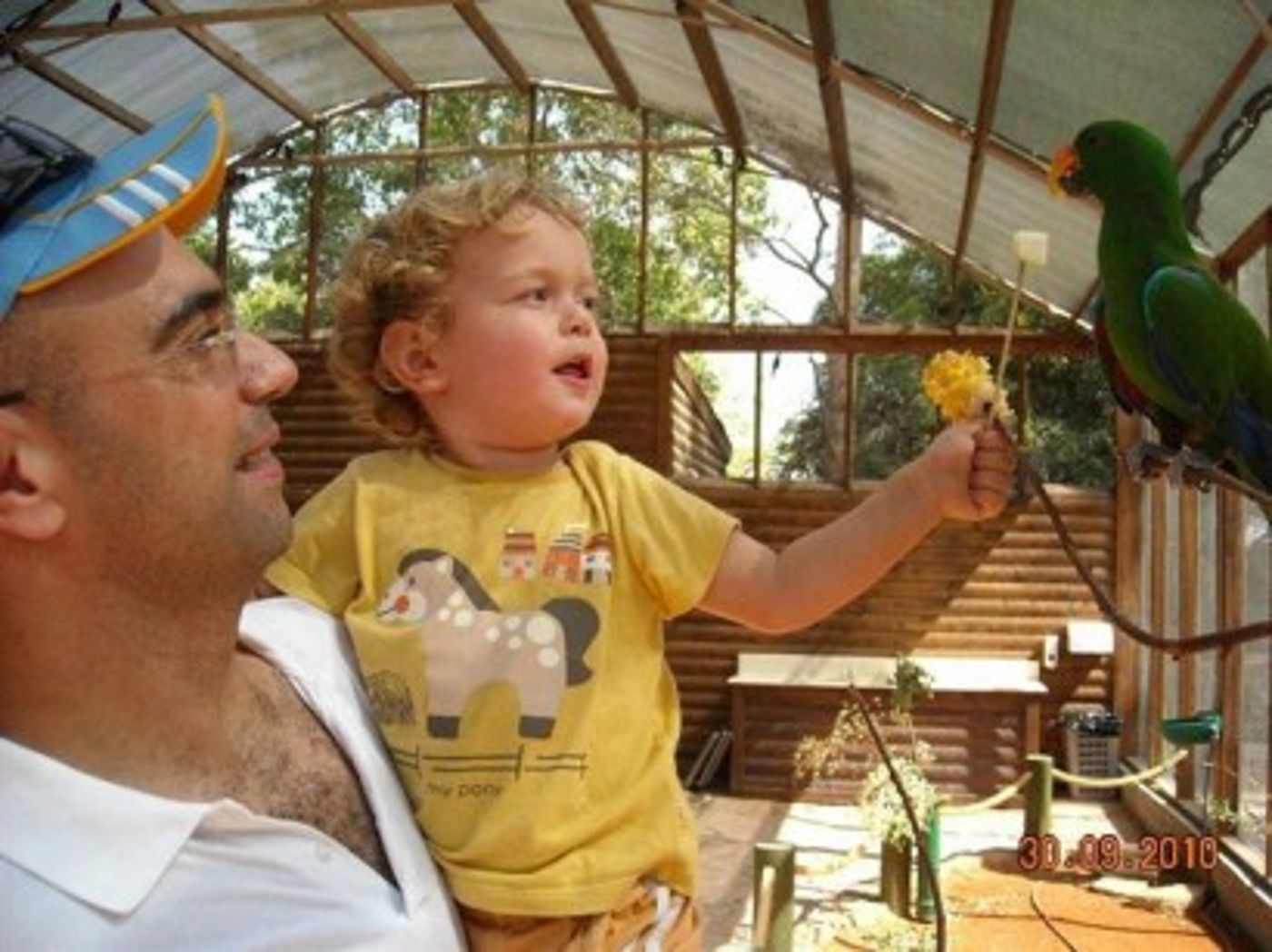 יש זוכה בתחרות הצילומים 'ציפורים בראש' בגן גורו