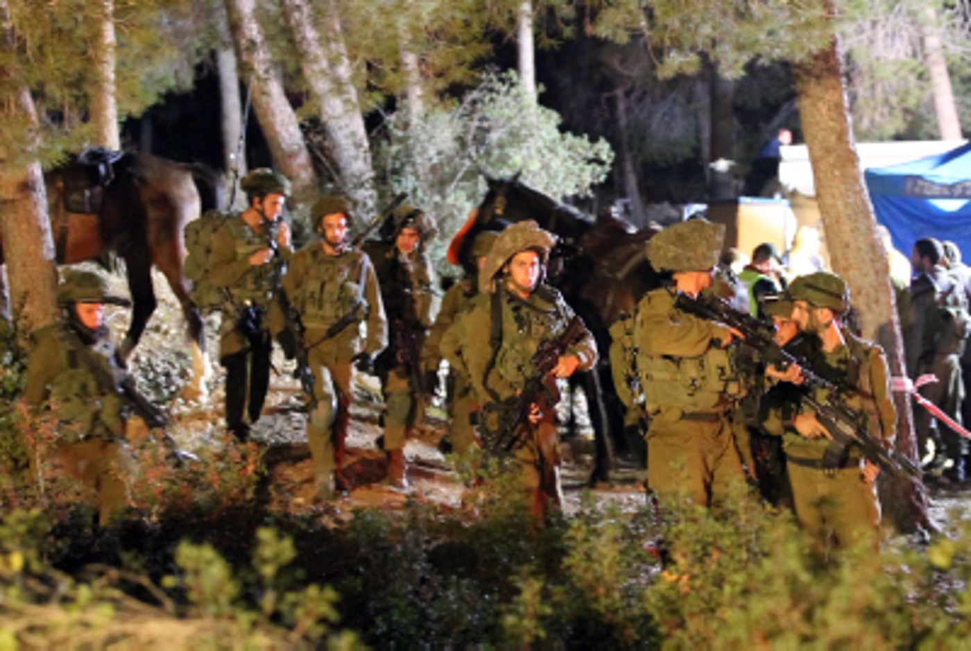 תמונות מהחיפושים ומציאת גופת הנרצחת בהרי ירושלים