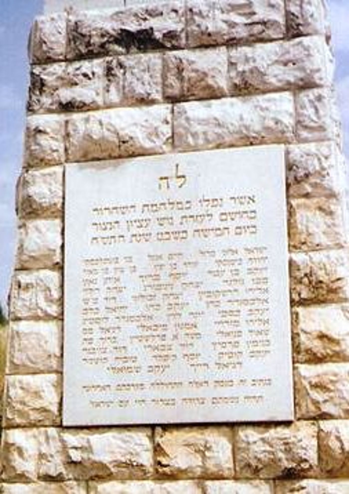 מה הייתם עושים לו הייתם מפקדי מחלקת הל"ה?