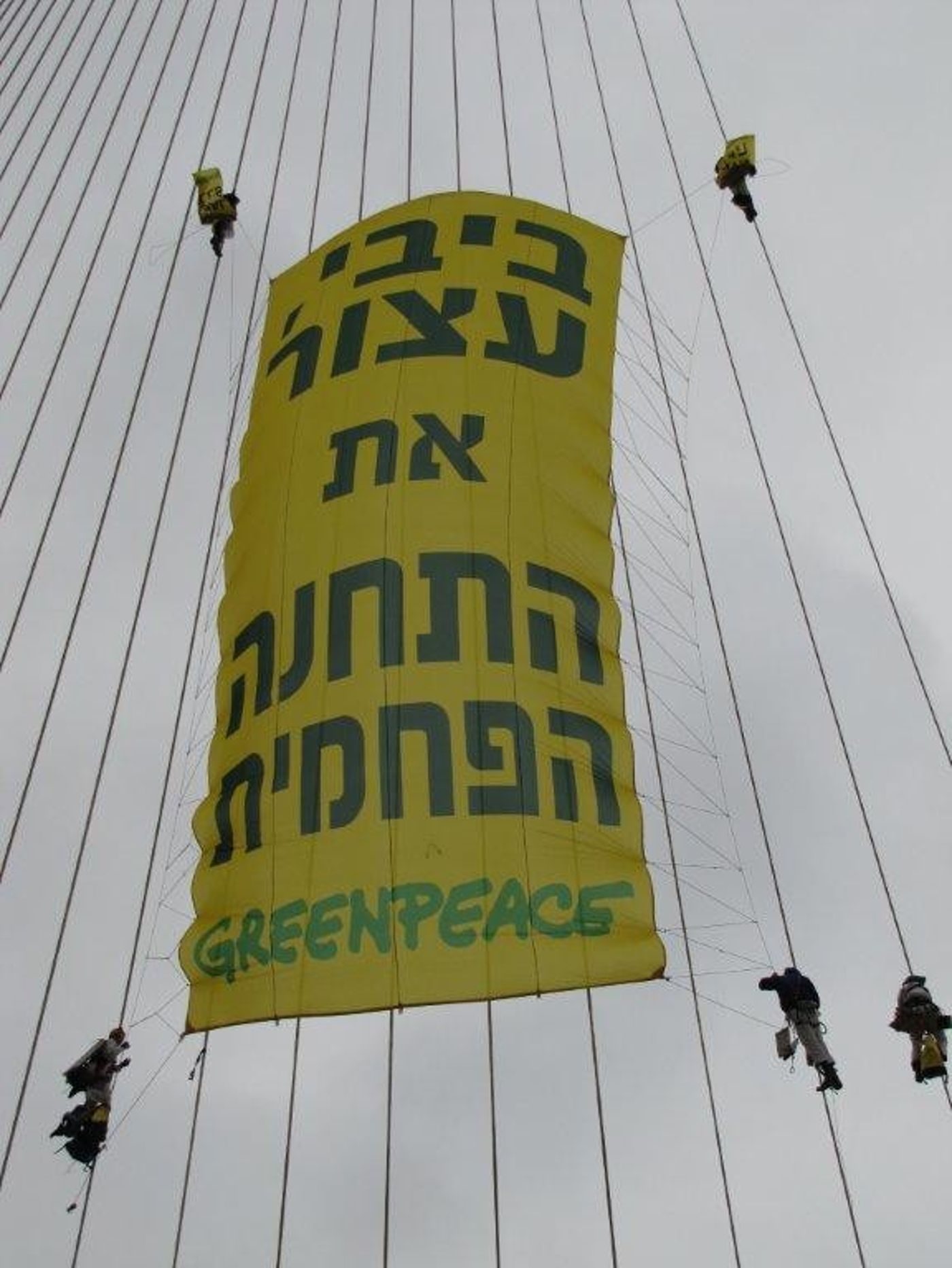 תמונות: פעילי גרינפיס מטפסים על 'גשר המיתרים'