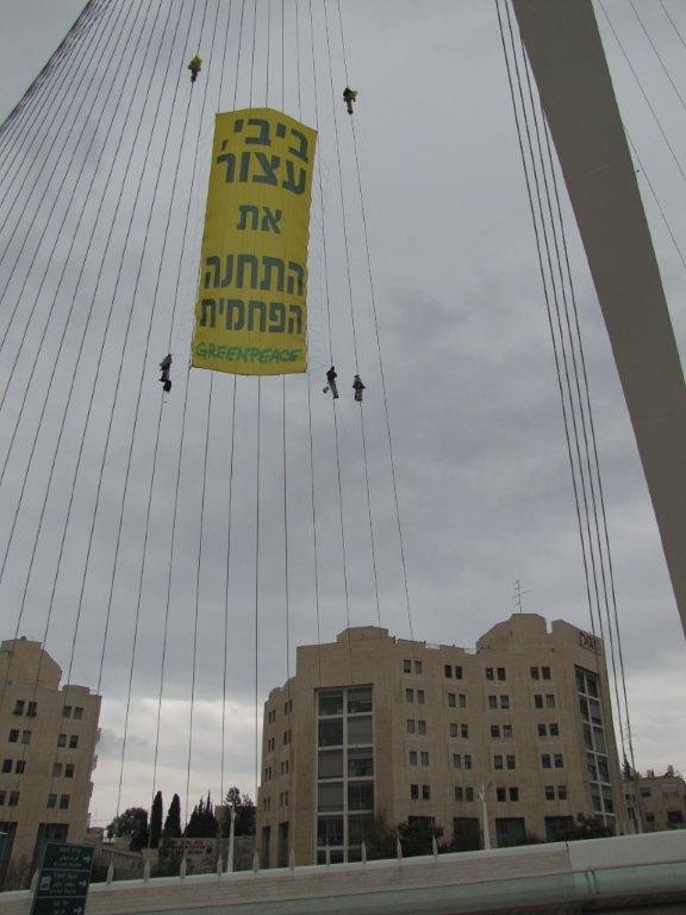 תמונות: פעילי גרינפיס מטפסים על 'גשר המיתרים'