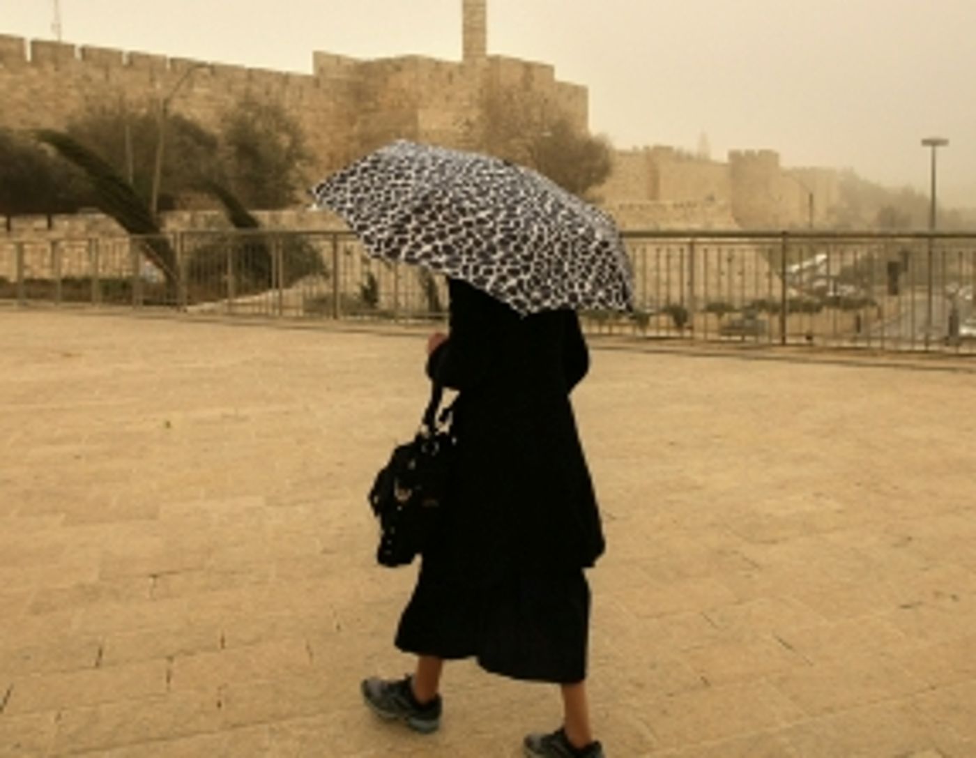 גשמי ברכה: מפלס הכנרת עלה ב-3 ס"מ