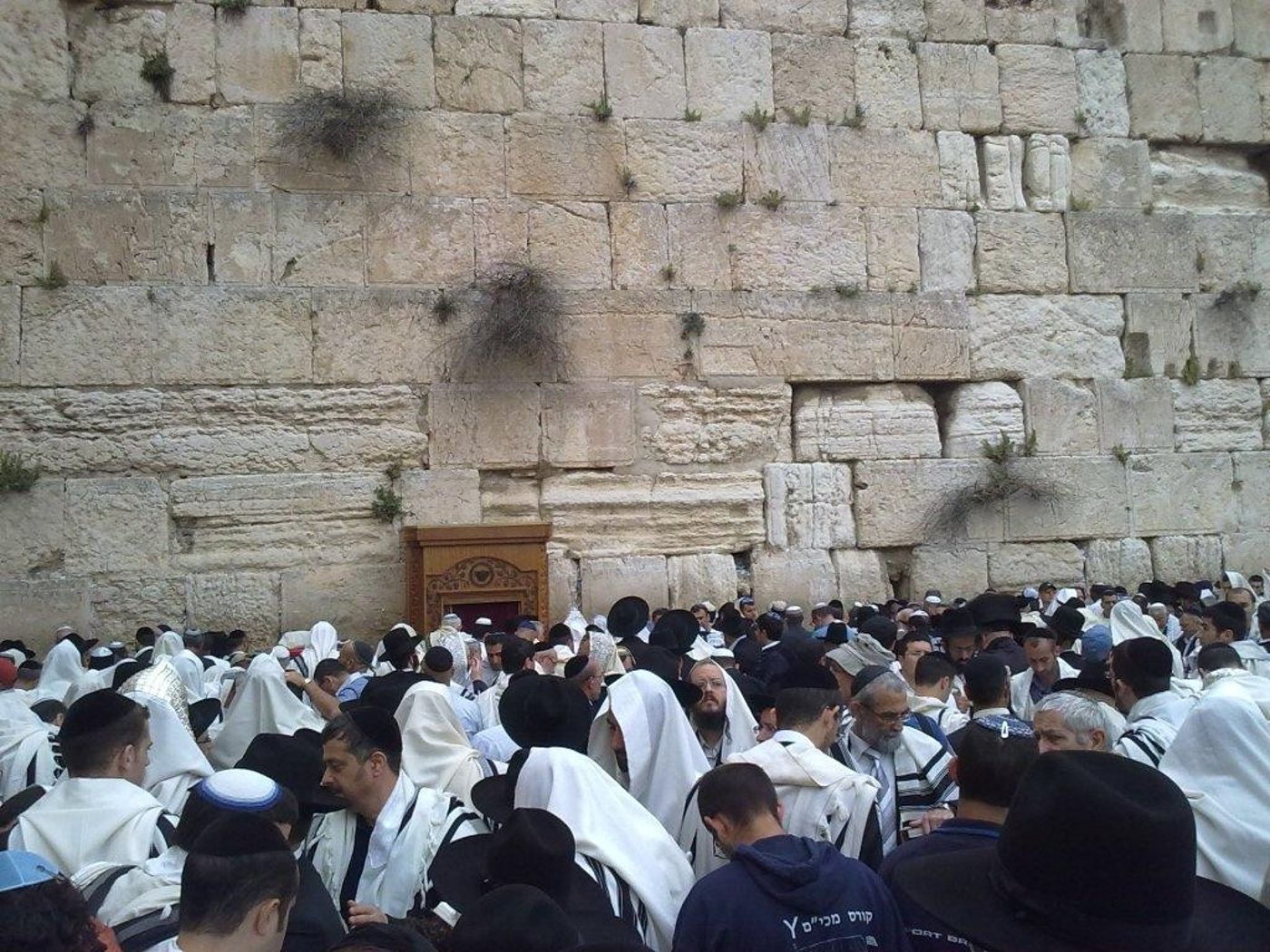 תמונות מברכת הכהנים ההמונית בכותל המערבי