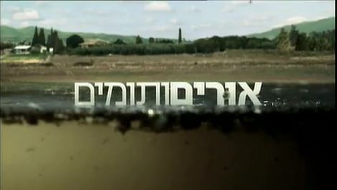אורים ותומים: כשבוגרי ישיבות תיכוניות מוציאים את המרירות