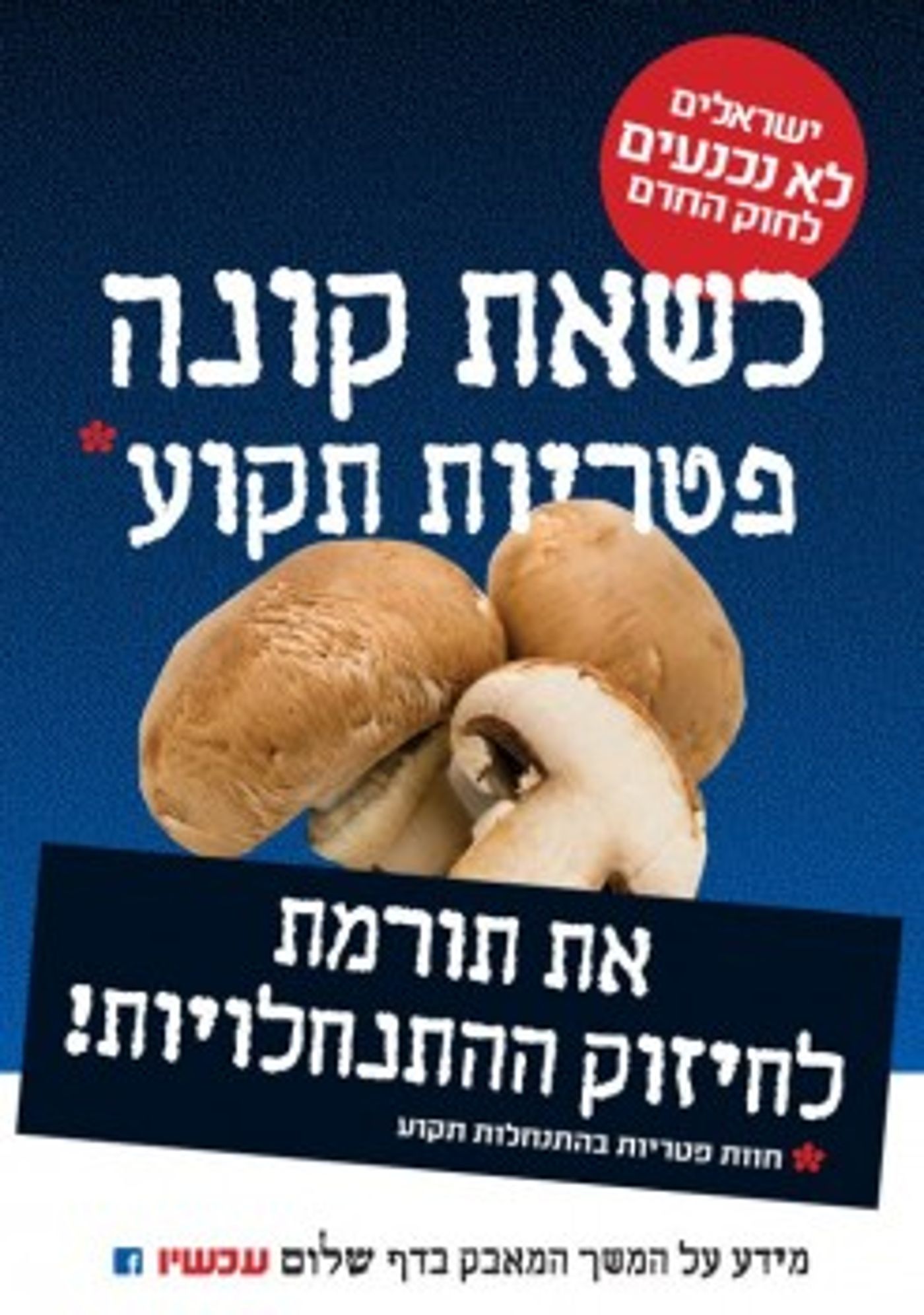 למרות החוק: 'שלום עכשיו' קוראת להחרים תוצרת יו"ש