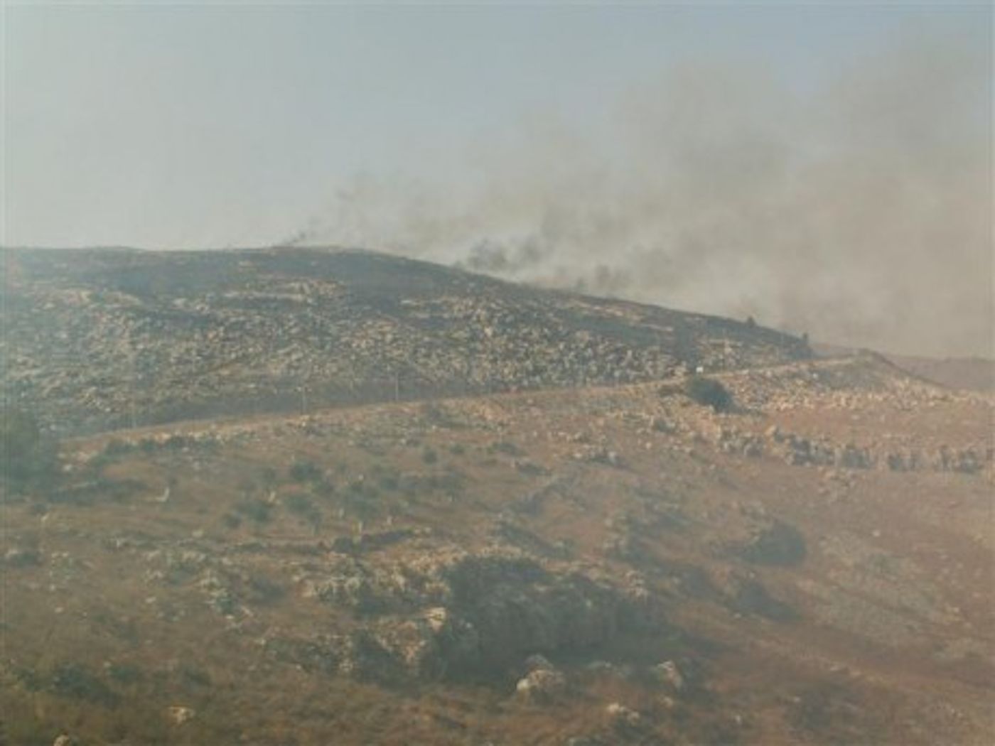 ערבים הציתו שריפה שכמעט והגיעה לבתי 'גבעת רונן'
