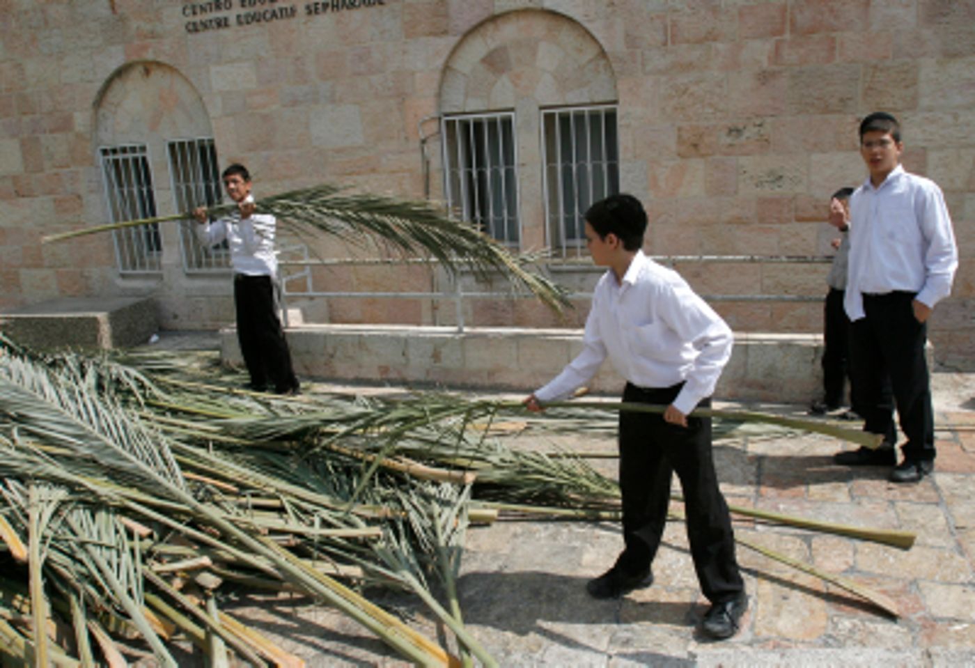 יוצא דופן: הלקסיקון המלא של בניית הסוכה