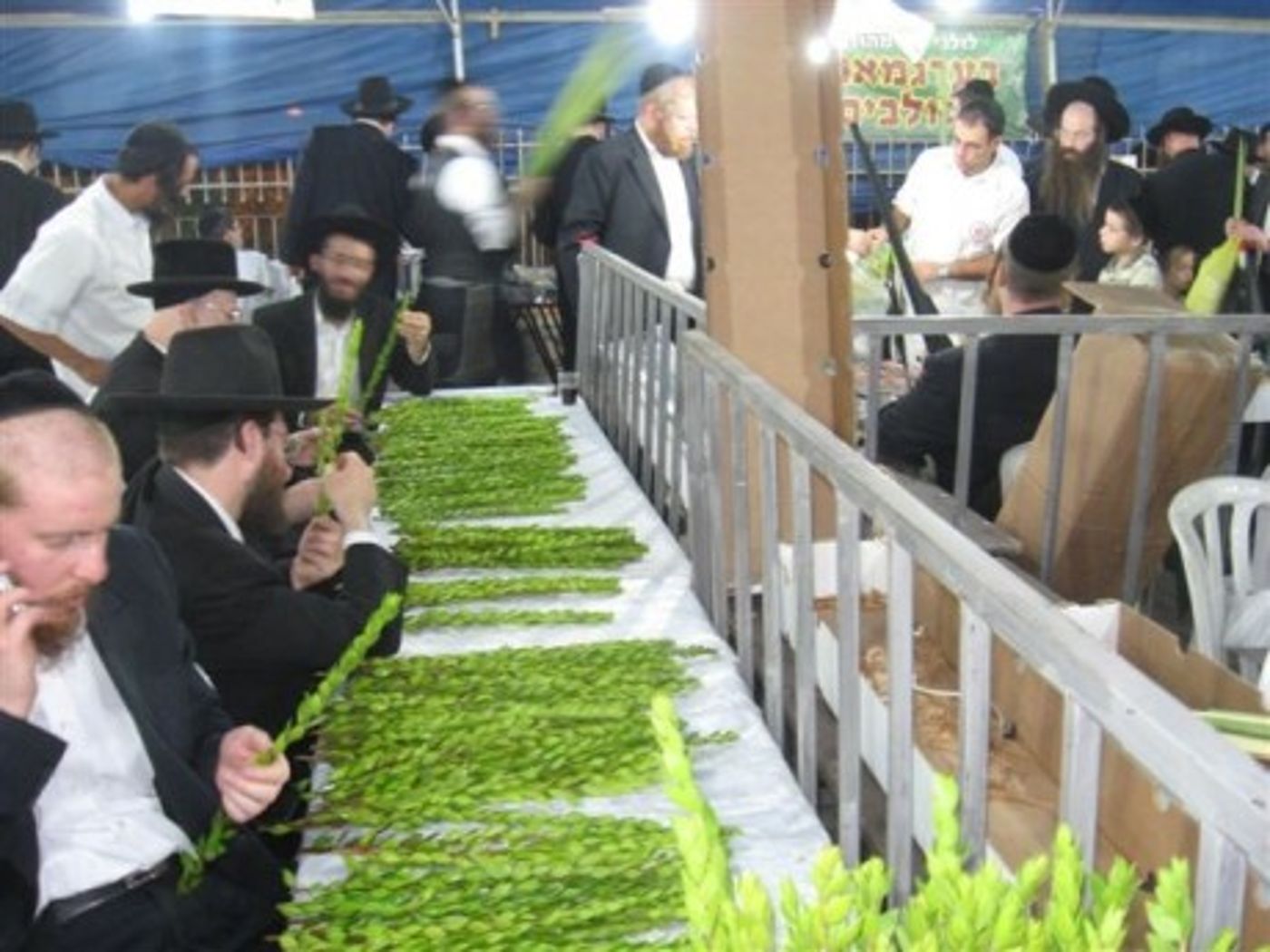 גלריית תמונות: שוק ארבעת המינים בירושלים