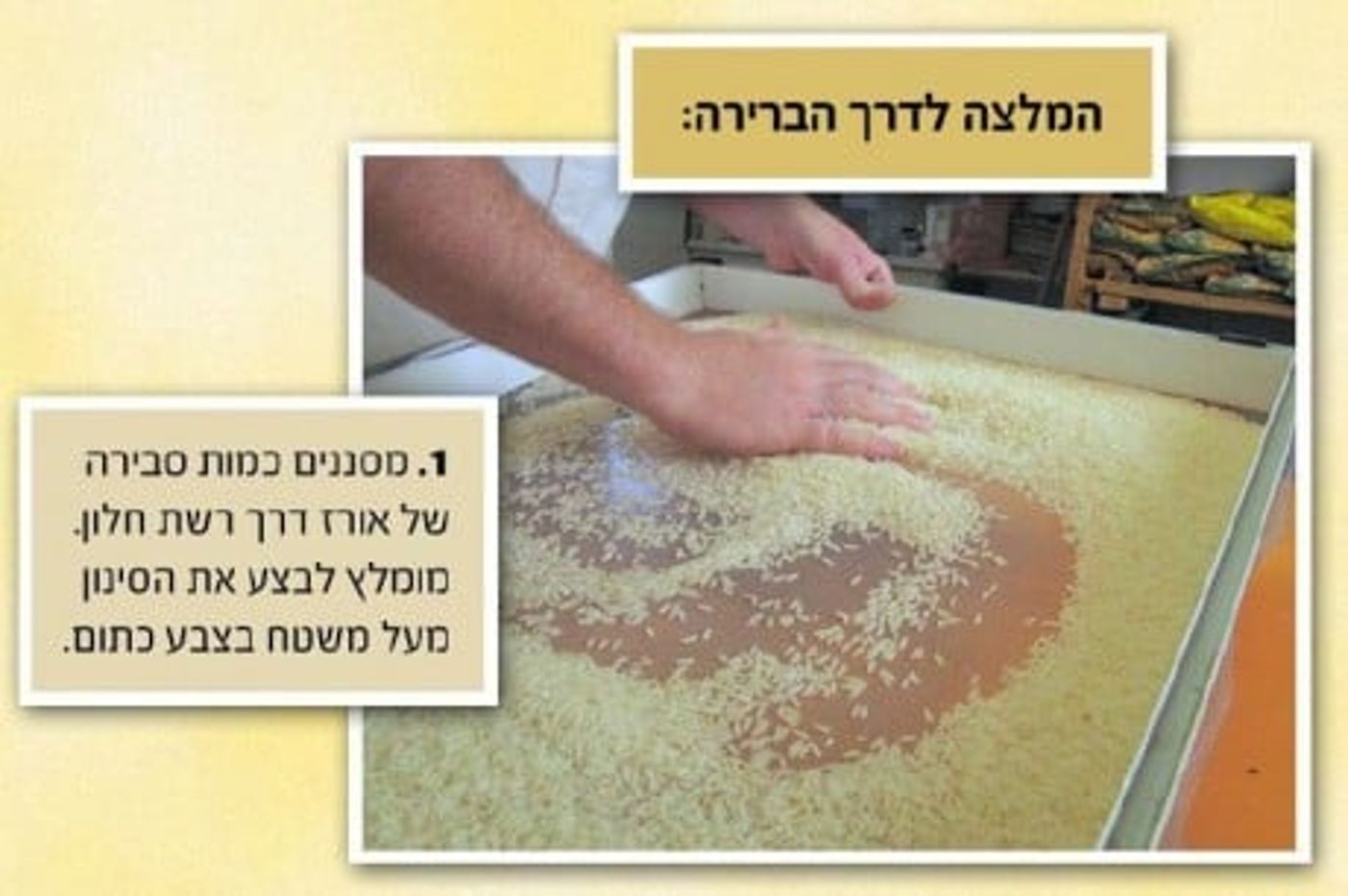 מצגת תמונות: ככה צריכים לברור אורז