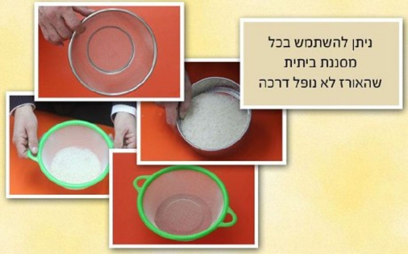 מצגת תמונות: ככה צריכים לברור אורז