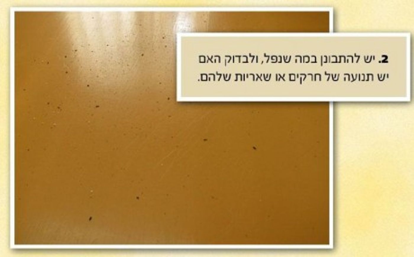 מצגת תמונות: ככה צריכים לברור אורז