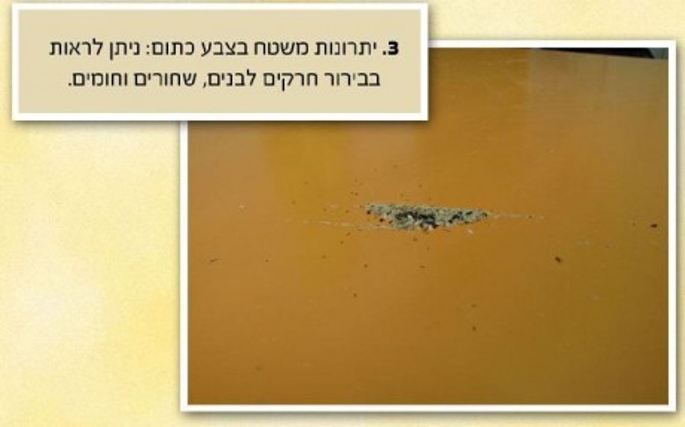מצגת תמונות: ככה צריכים לברור אורז