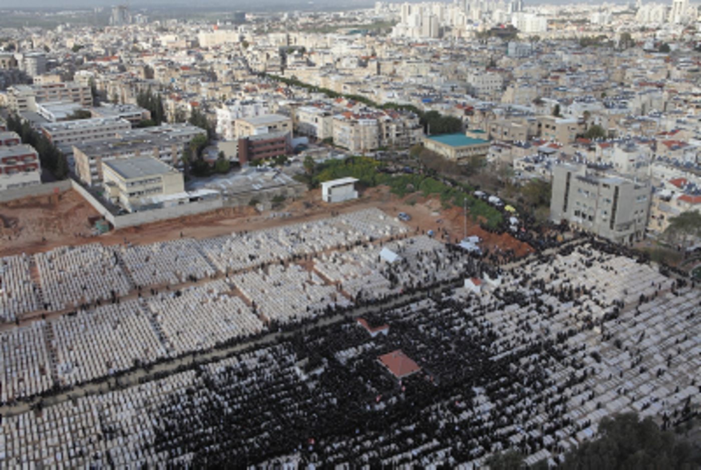 גלרייה: כך נראתה הלוויתו של האדמו"ר מויז'ניץ