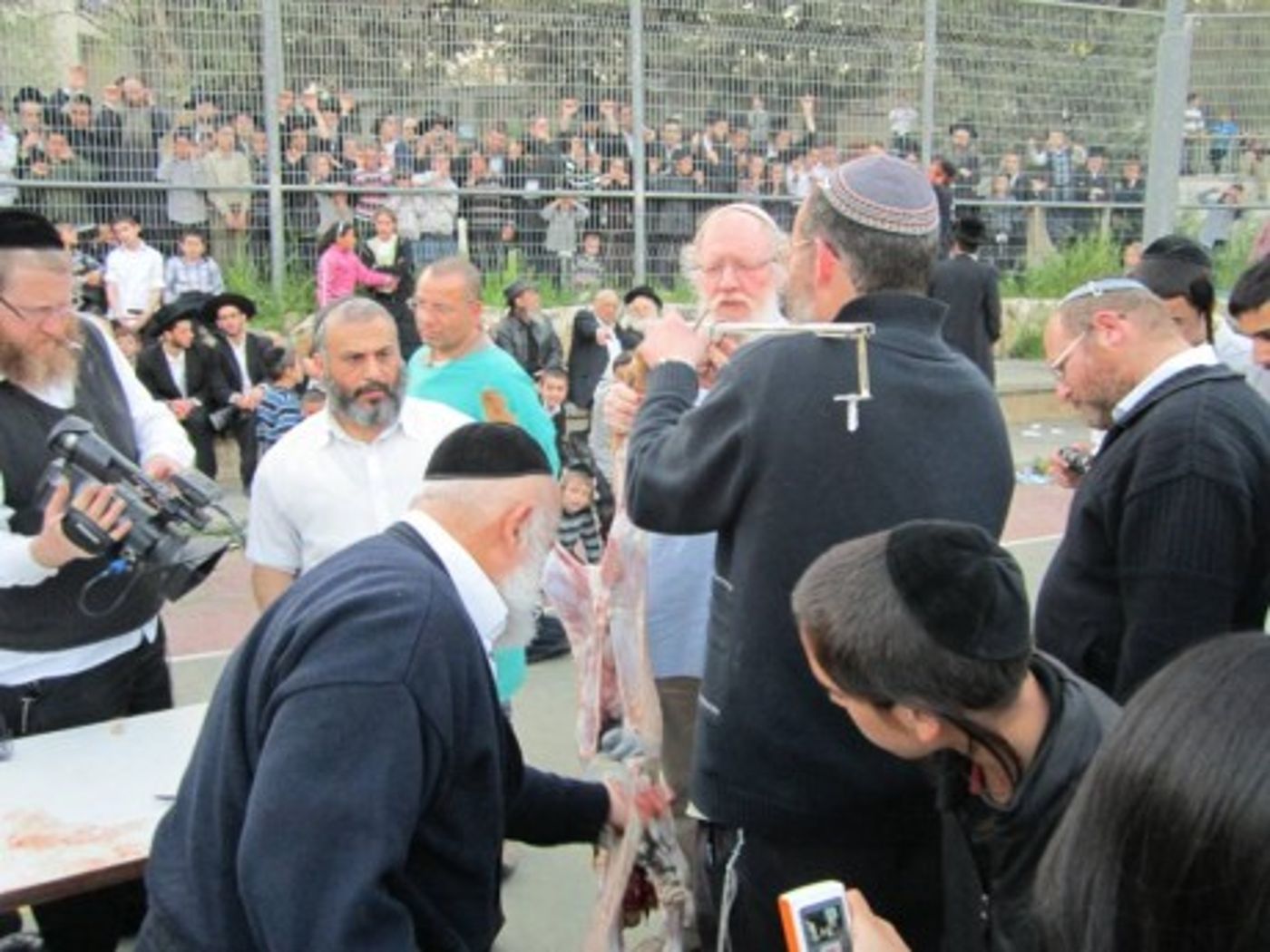 אם השנה נוכל להקריב קרבן פסח, ככה זה ייראה