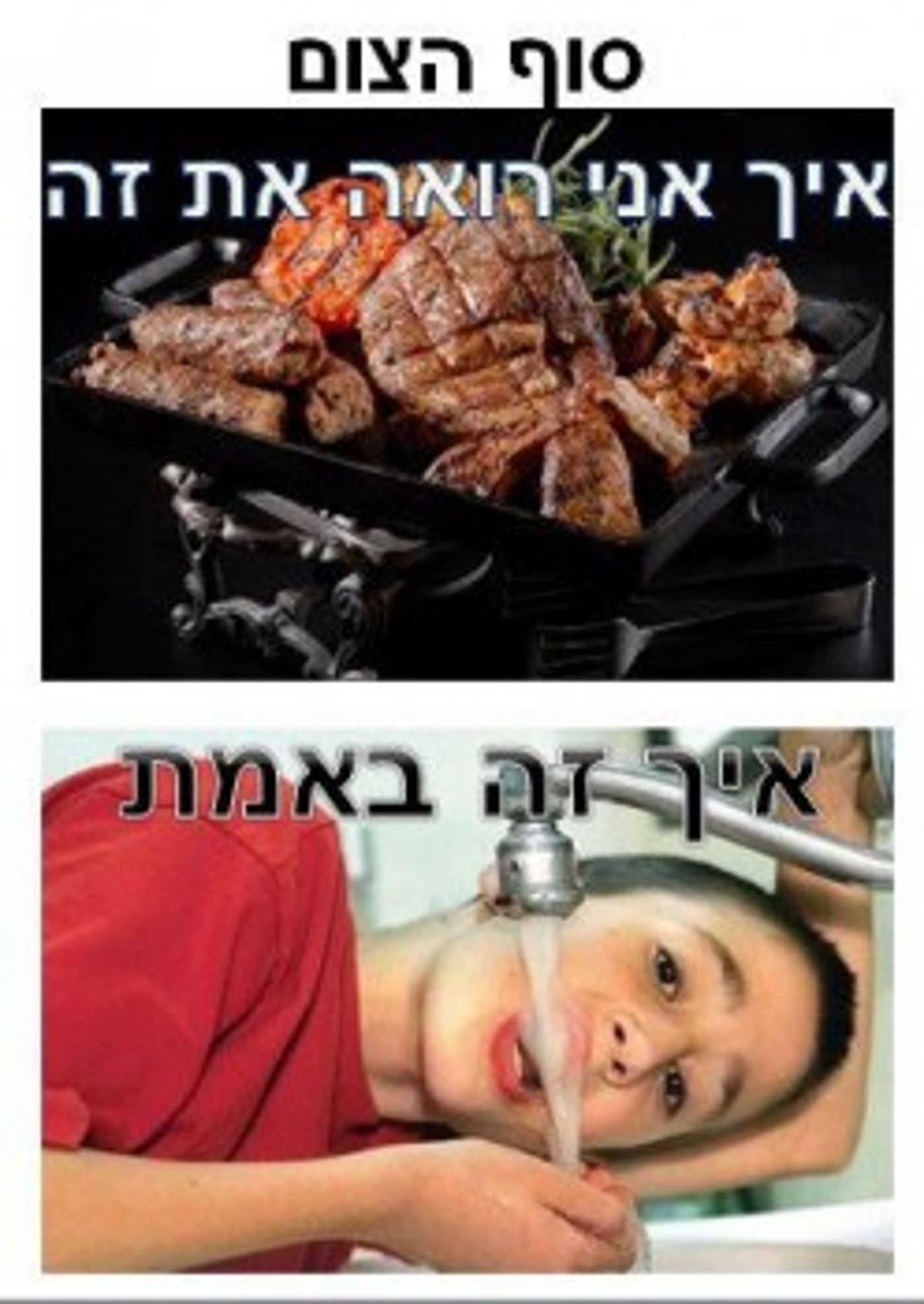 קבלו: מיטב הסטטוסים של 'דוסים מצייצים' לחודש אב