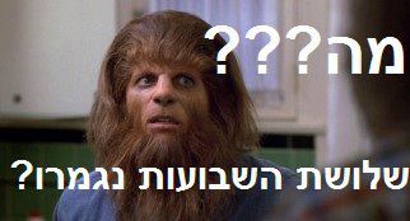 קבלו: מיטב הסטטוסים של 'דוסים מצייצים' לחודש אב