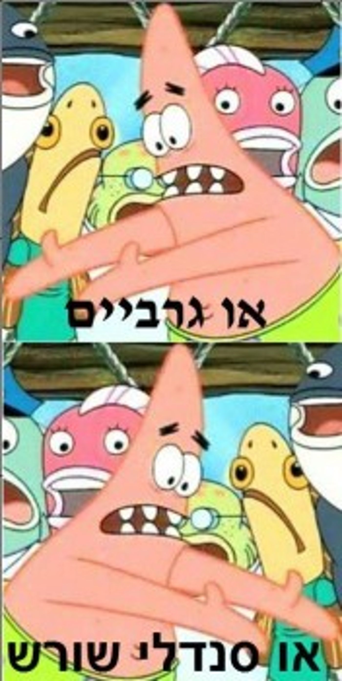 קבלו: מיטב הסטטוסים של 'דוסים מצייצים' לחודש אב