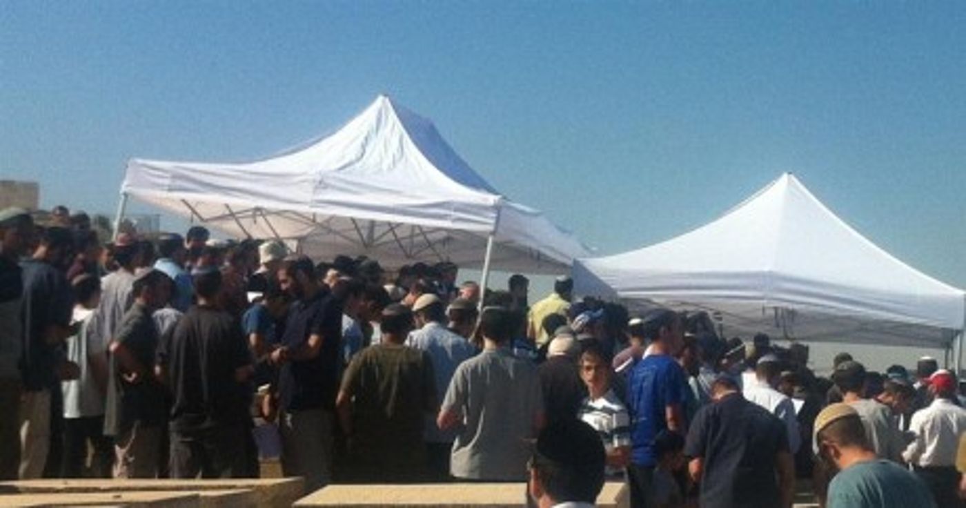 המסורת נמשכת: אלפים עלו לציון הראי"ה קוק זצ"ל