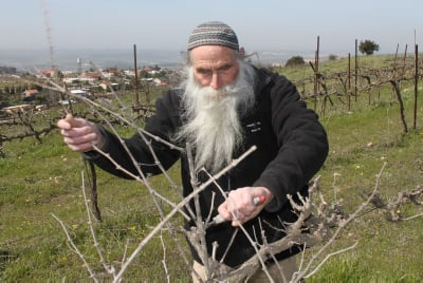 פרשת כי תבוא: בין החקלאי היהודי לאיכר הגוי