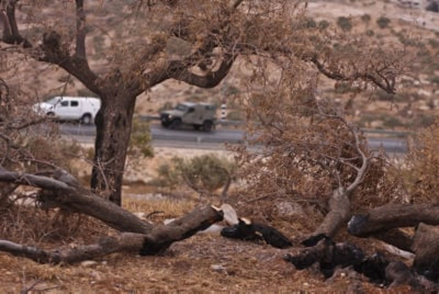 השקר של השמאל נחשף: כתב אישום אחד בשבע שנים