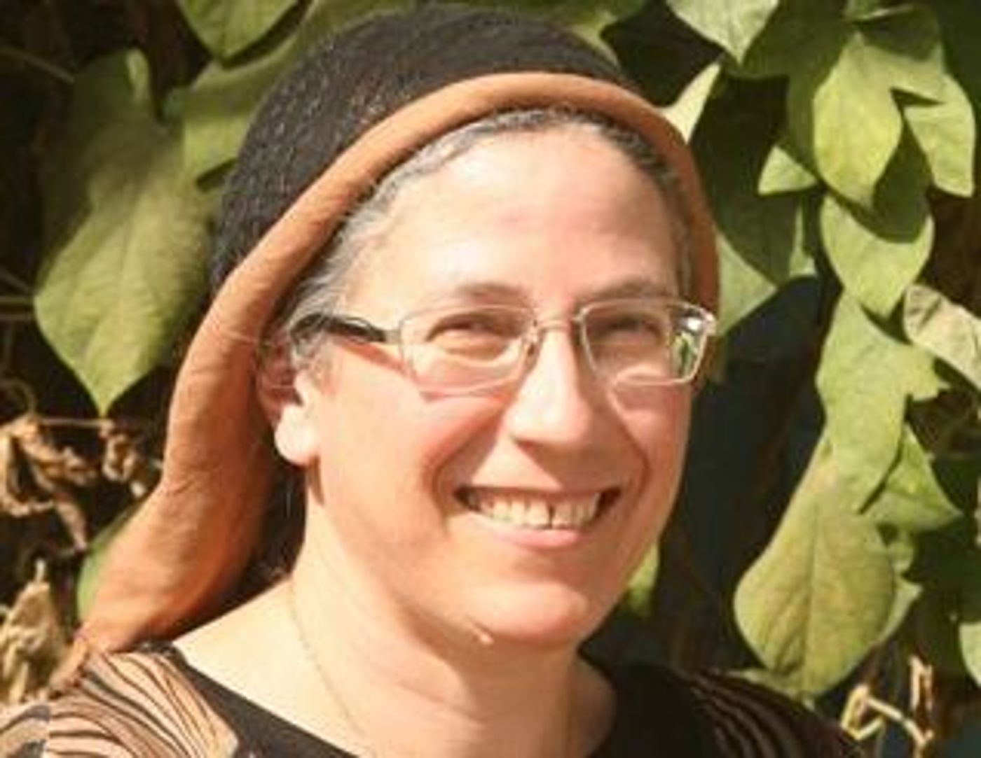 הסיבות מדוע אסור להדיר את אורית סטרוק מהכנסת
