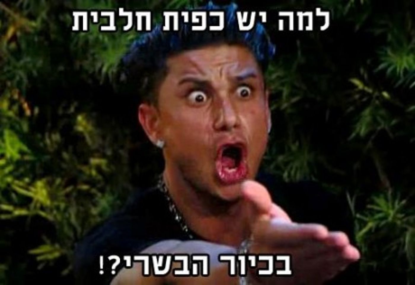 מצעד דוסים מצייצים מקץ: הממים הכי מצחיקים של הסרוגים