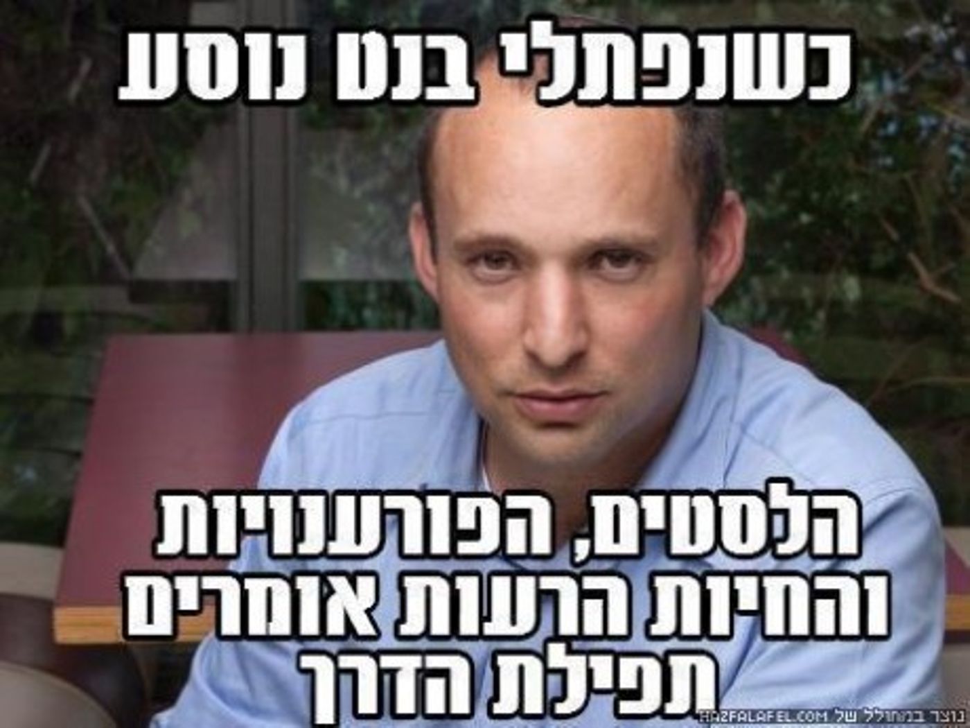 מצעד דוסים מצייצים: הממים הכי מצחיקים של הסרוגים