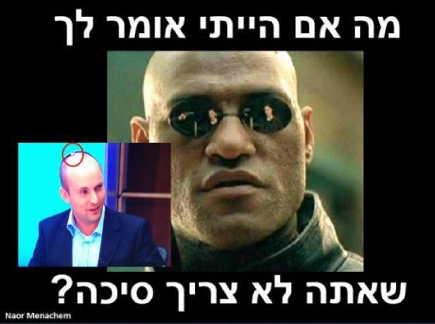 מצעד דוסים מצייצים: הממים הכי מצחיקים של הסרוגים