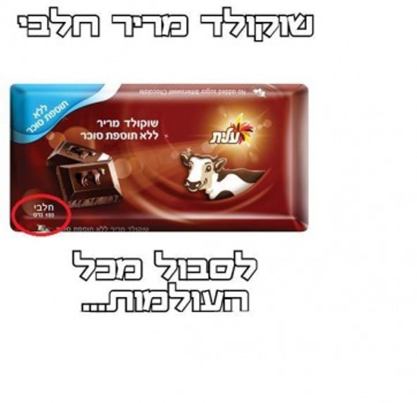 מצעד דוסים מצייצים: הממים הכי מצחיקים של הסרוגים