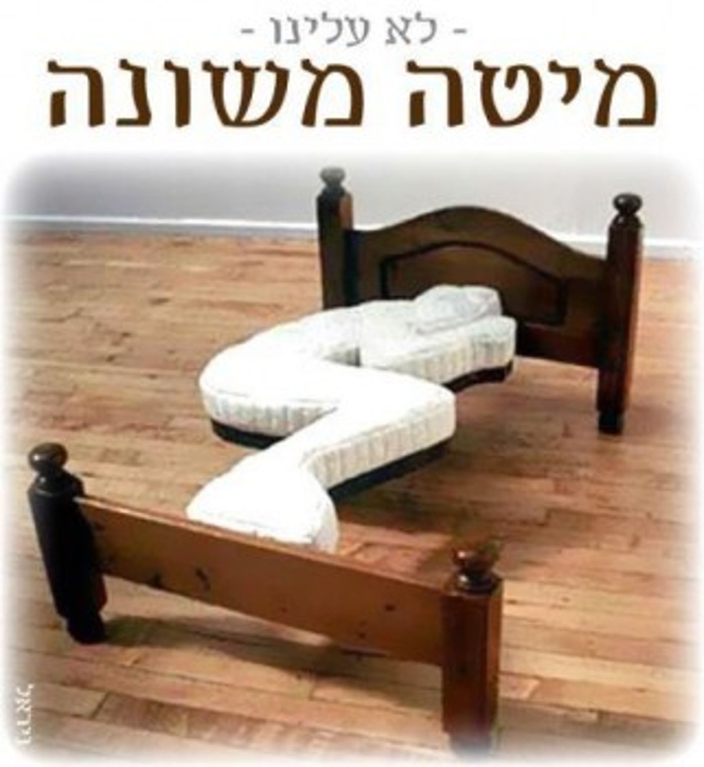 מצעד דוסים מצייצים: הממים הכי מצחיקים של הסרוגים