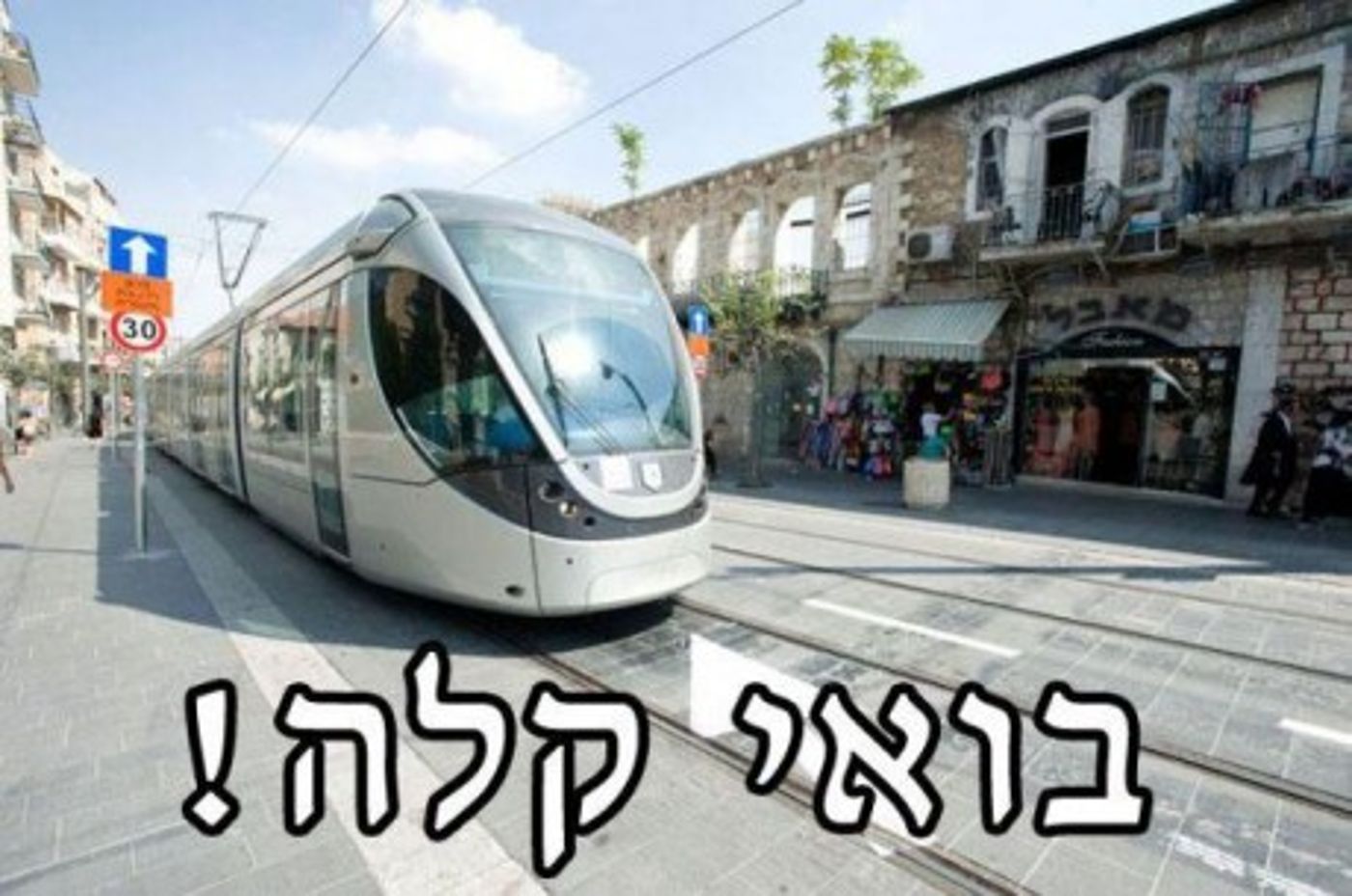 מצעד דוסים מצייצים: הממים הכי מצחיקים של הסרוגים