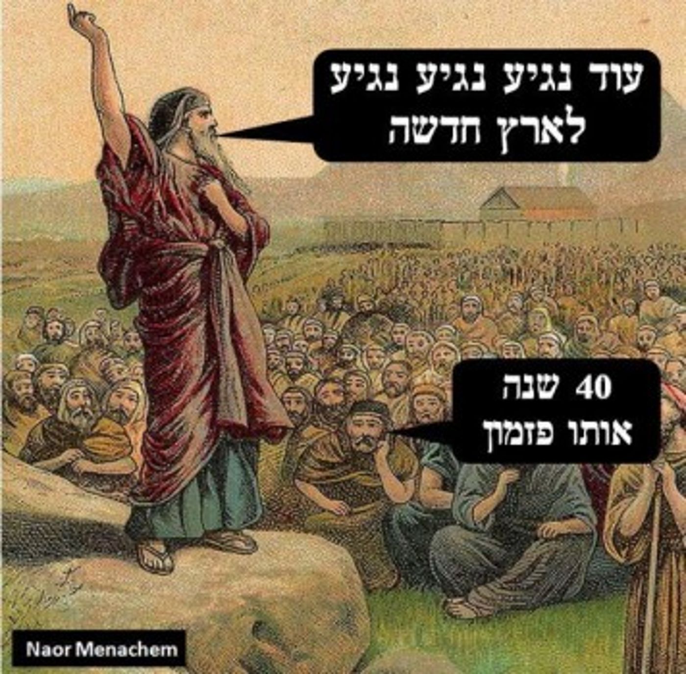 מצעד דוסים מצייצים: הממים הכי מצחיקים של הסרוגים