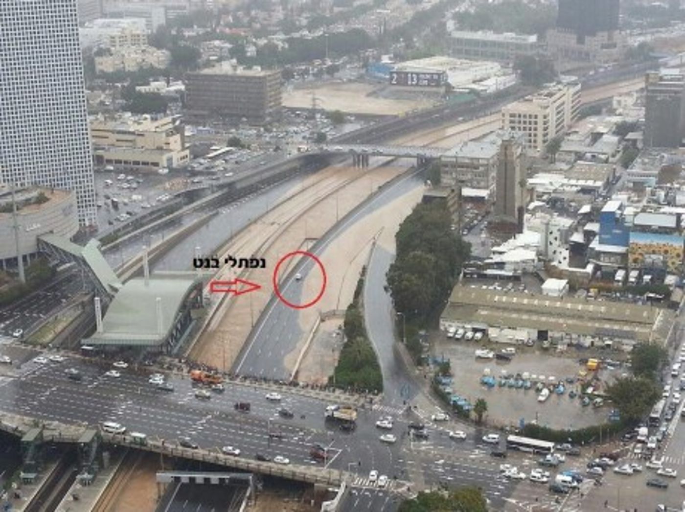 מצעד דוסים מצייצים: הממים הכי מצחיקים של הסרוגים