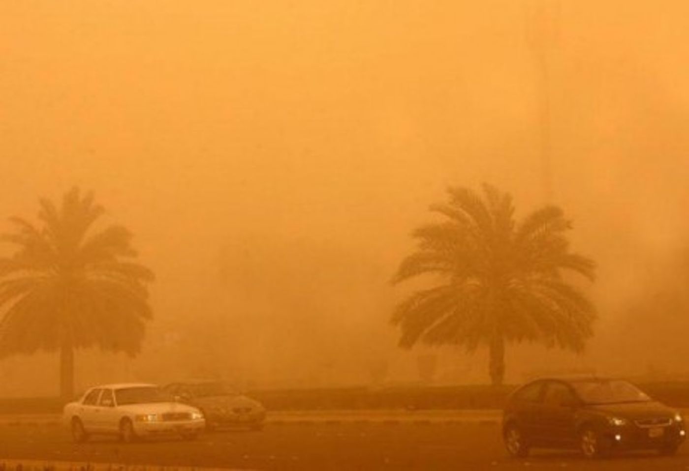 מצעד דוסים מצייצים: הממים הכי מצחיקים של הסרוגים