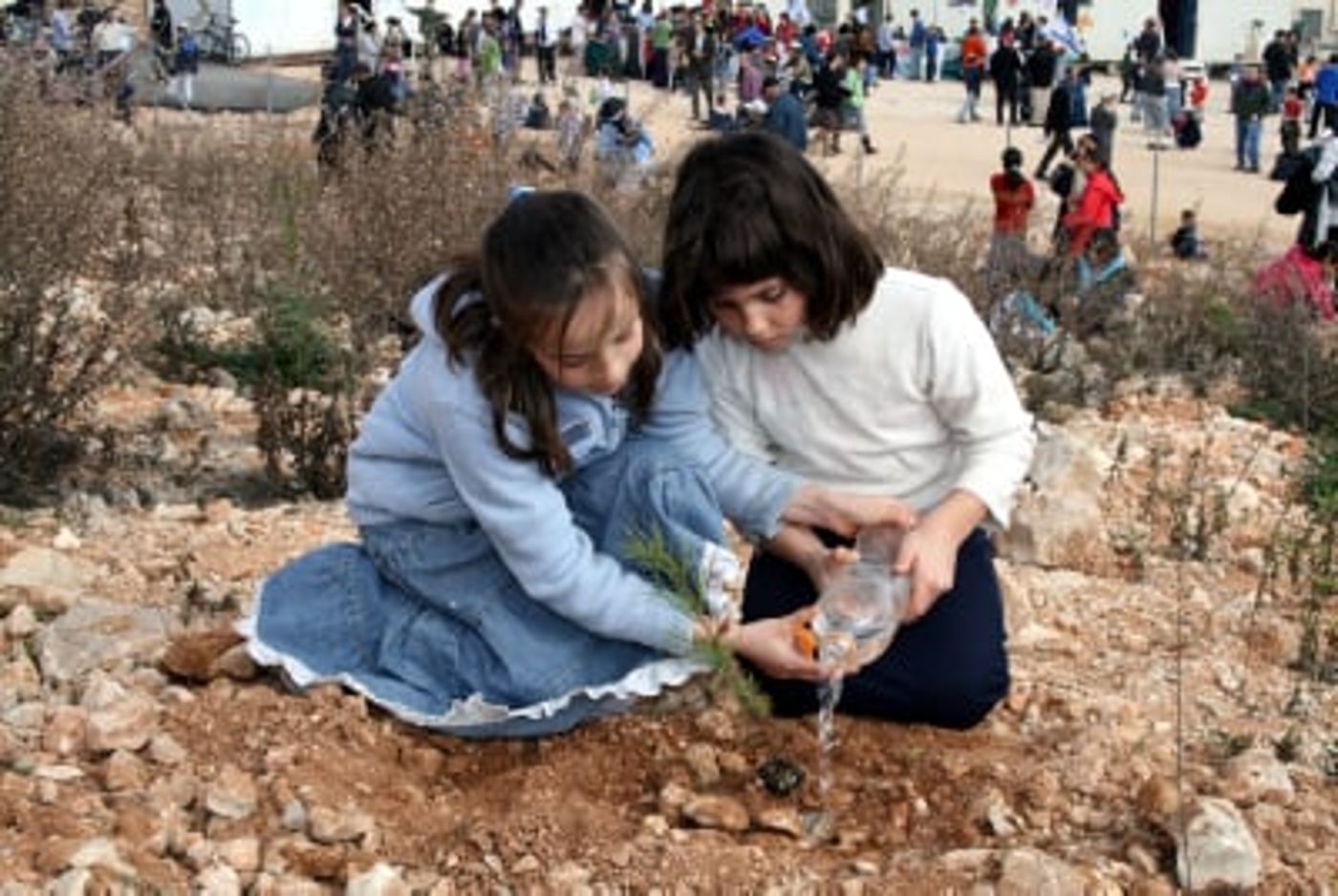על מה ולמה חוגגים את ט"ו בשבט