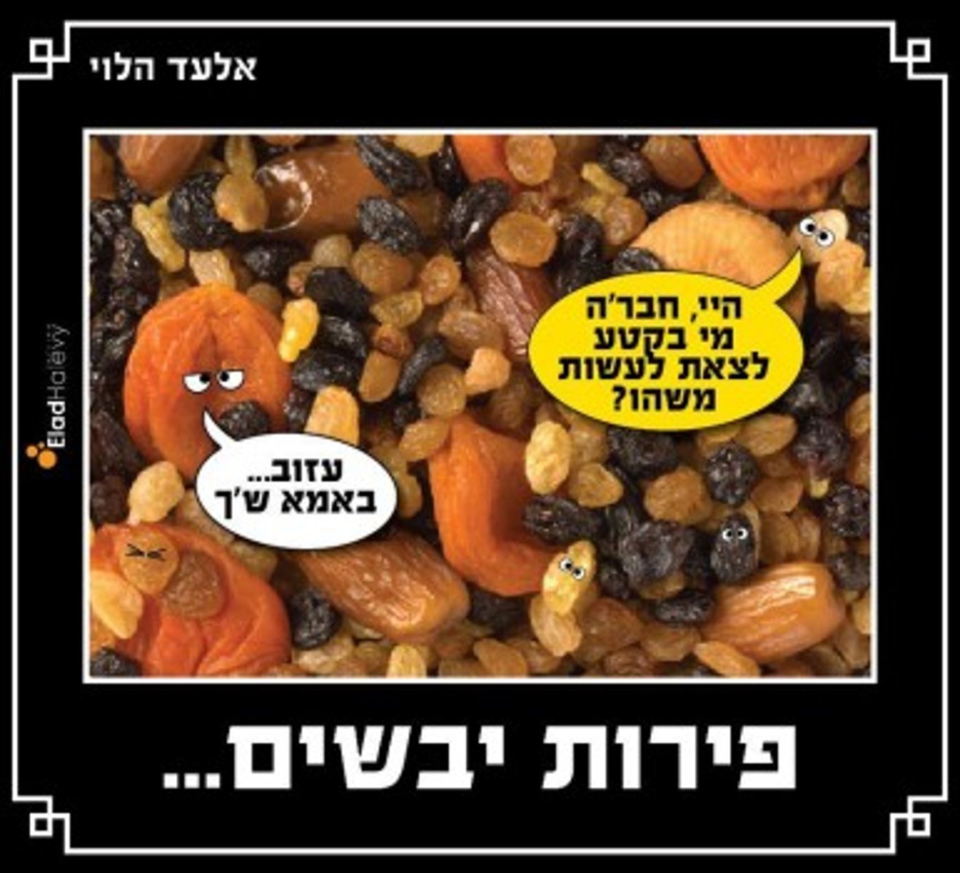מצעד דוסים מצייצים: הממים הכי מצחיקים של הסרוגים