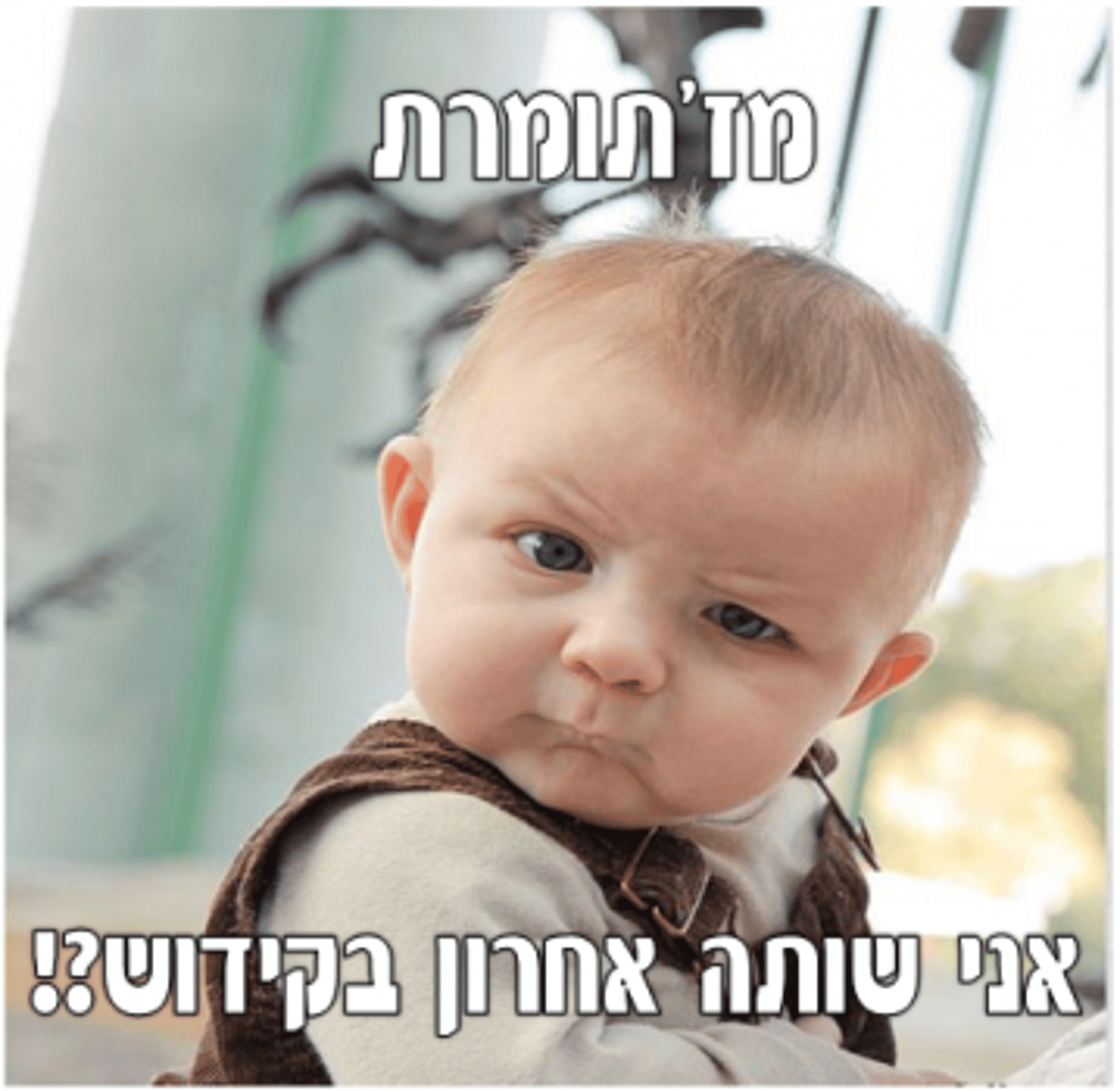 מצעד דוסים מצייצים: הממים הכי מצחיקים של הסרוגים