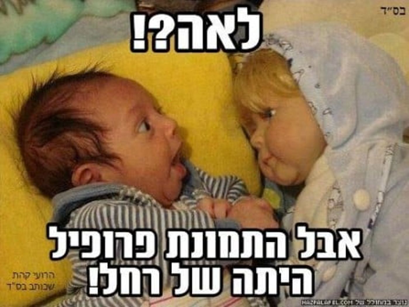מצעד דוסים מצייצים: הממים הכי מצחיקים של הסרוגים