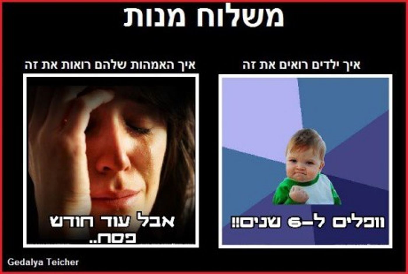 מצעד דוסים מצייצים: הממים הכי מצחיקים של הסרוגים