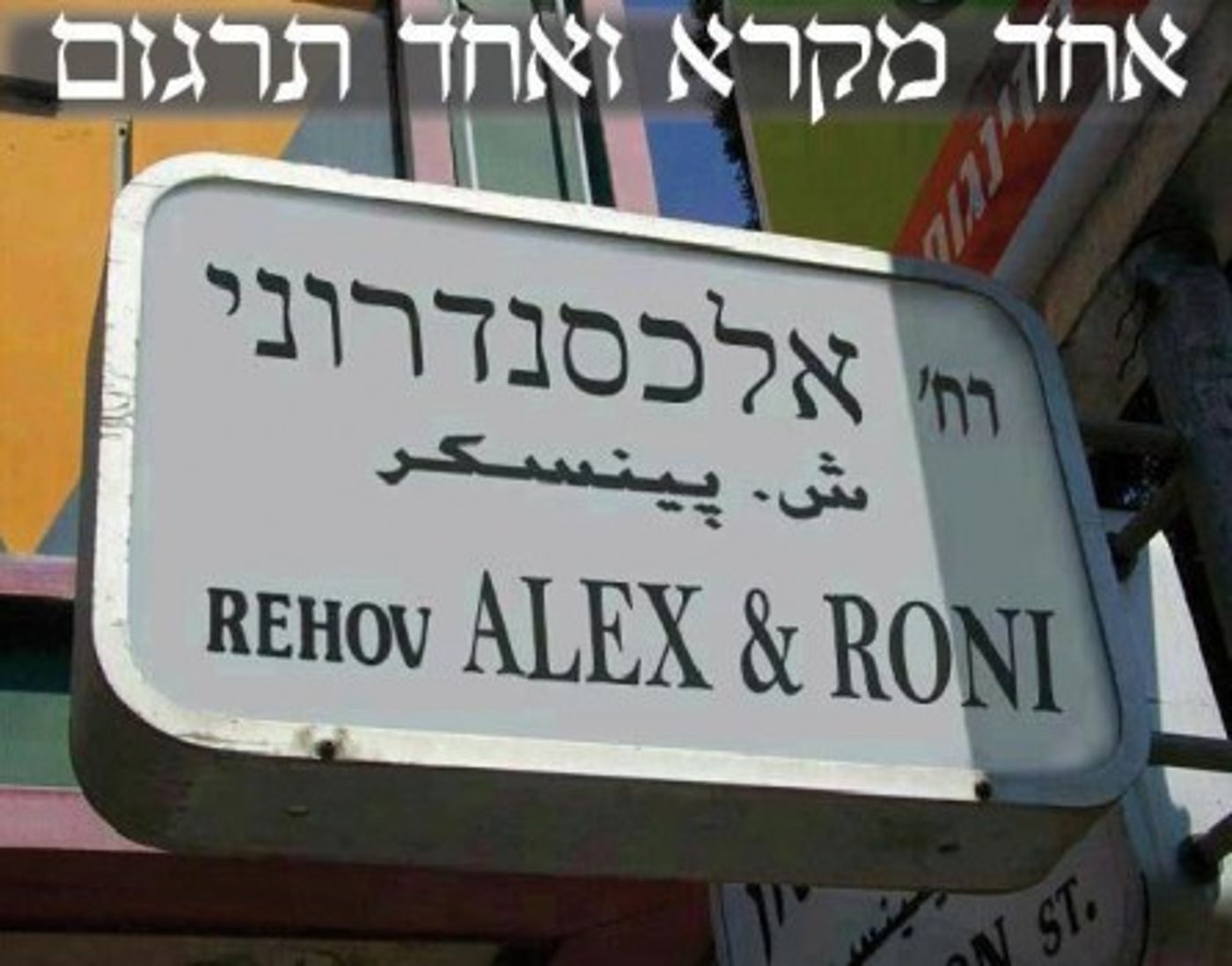 מצעד דוסים מצייצים: הממים הכי מצחיקים של הסרוגים