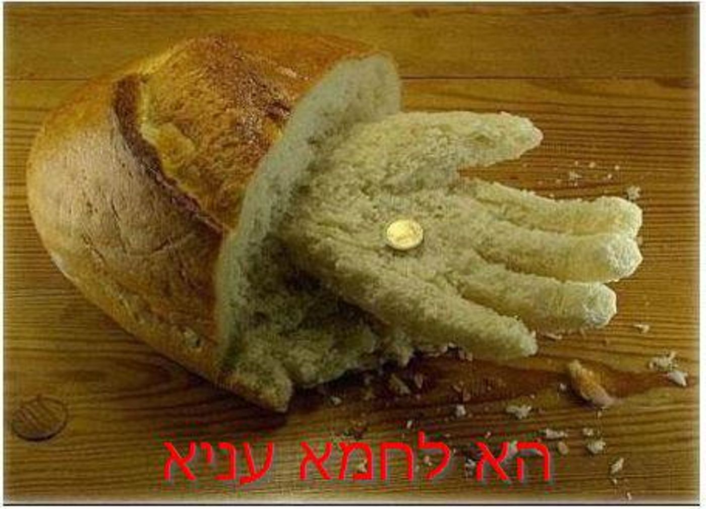 מצעד דוסים מצייצים: הממים הכי מצחיקים של הסרוגים