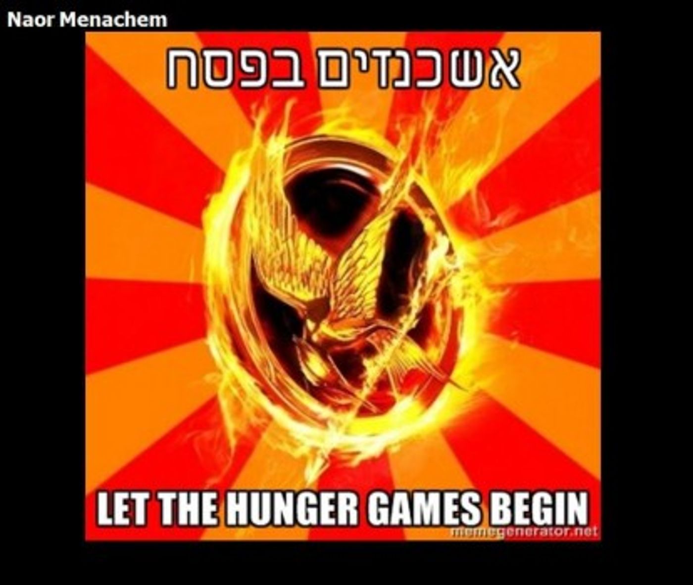 מצעד דוסים מצייצים: הממים הכי מצחיקים של הסרוגים