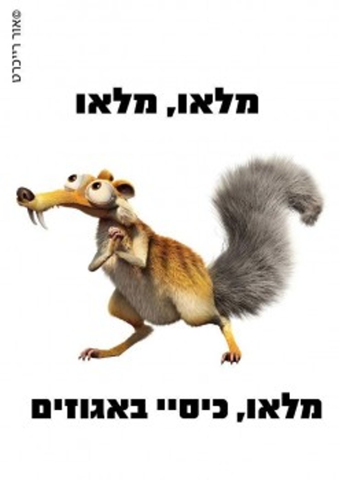 מצעד דוסים מצייצים: הממים הכי מצחיקים של הסרוגים