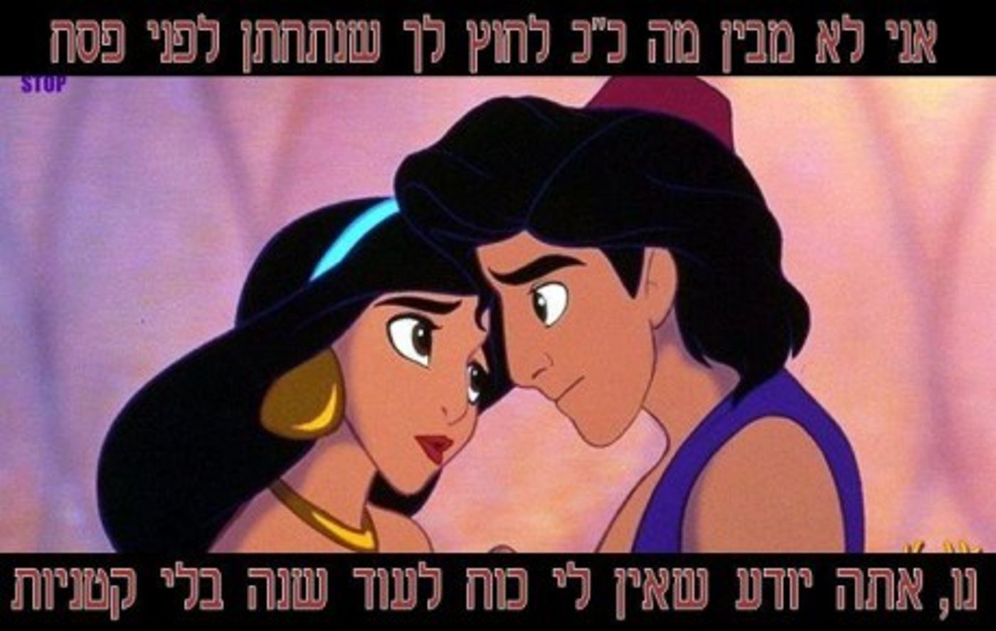 מצעד דוסים מצייצים: הממים הכי מצחיקים של הסרוגים