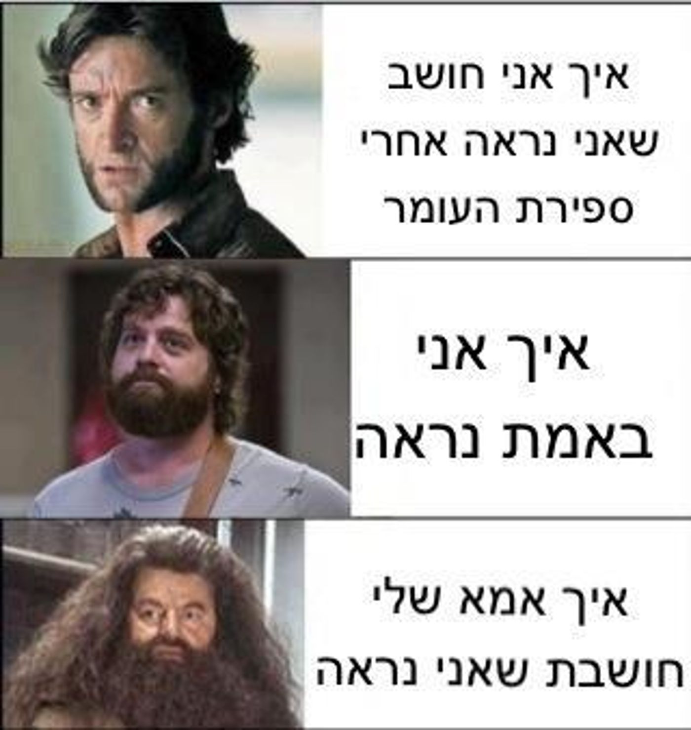 מצעד דוסים מצייצים מורחב: הממים הכי מצחיקים בפסח