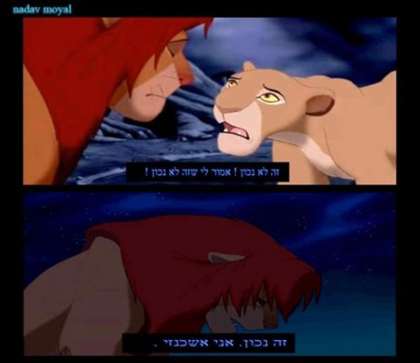 מצעד דוסים מצייצים מורחב: הממים הכי מצחיקים בפסח