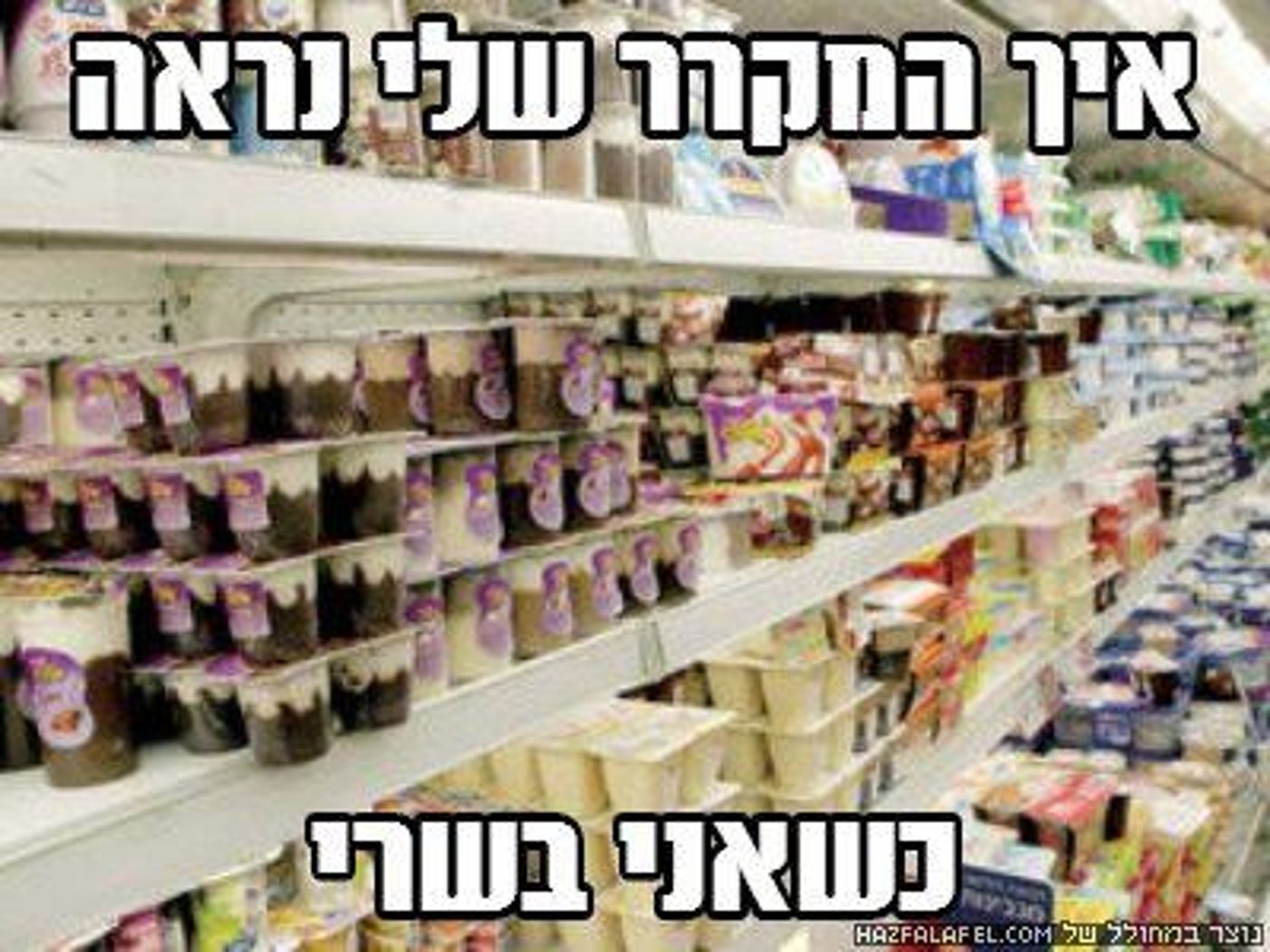 מצעד דוסים מצייצים: הממים הכי מצחיקים של הסרוגים