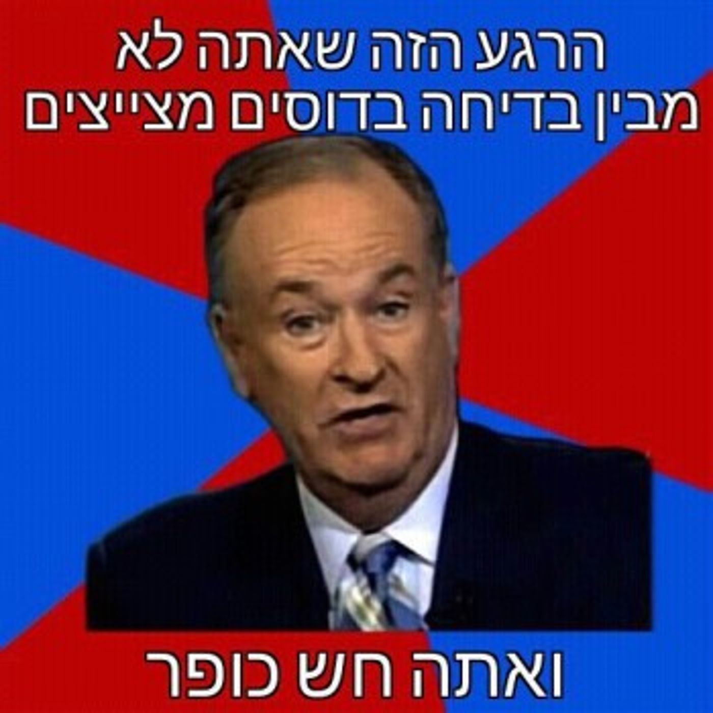 מצעד דוסים מצייצים: הממים הכי מצחיקים של הסרוגים