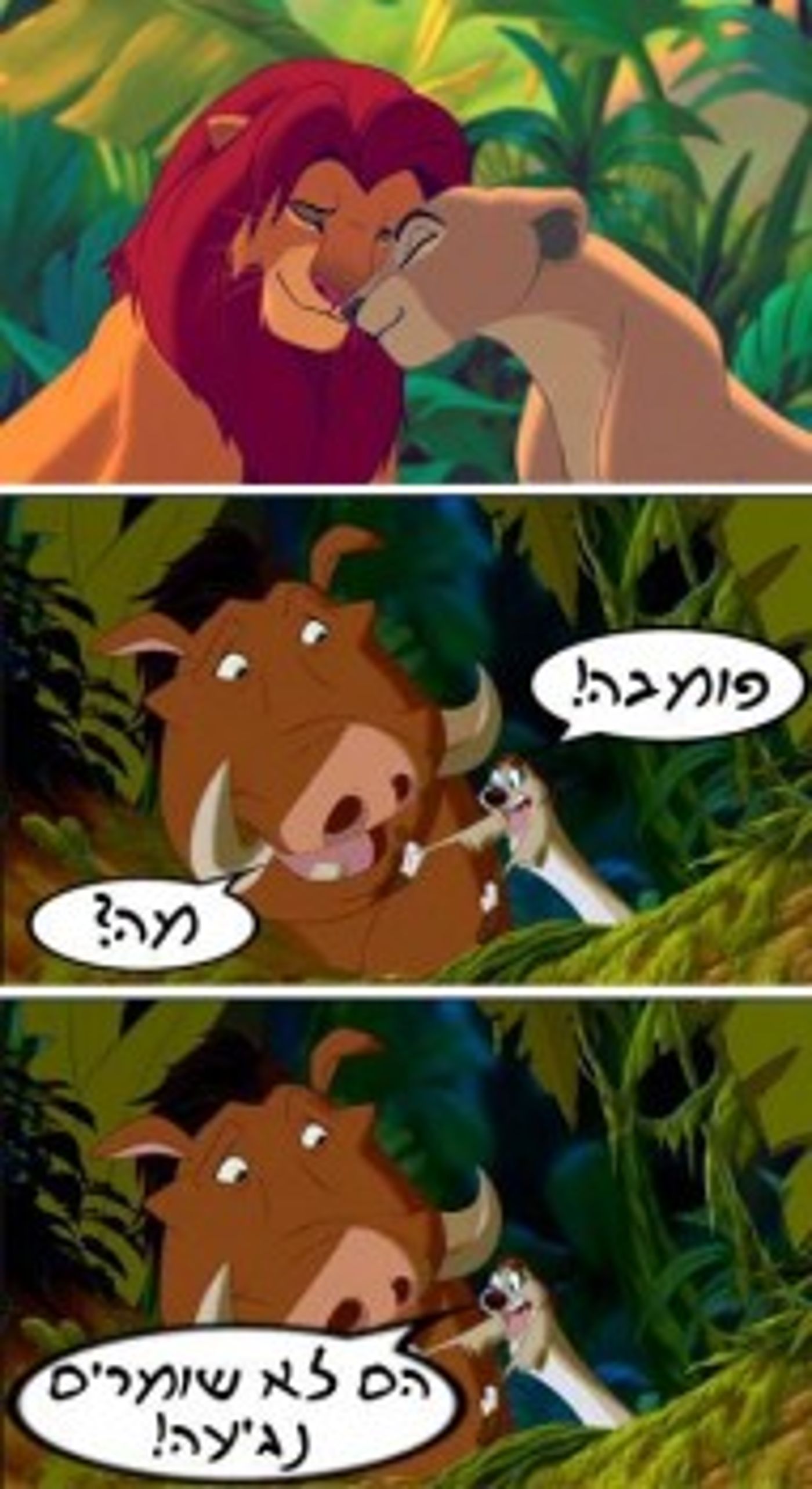 מצעד דוסים מצייצים: הממים הכי מצחיקים של הסרוגים